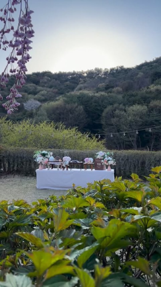 도동산방 대표 사진