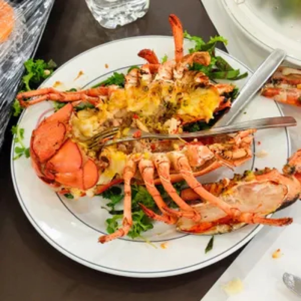 파티아라 대표 사진